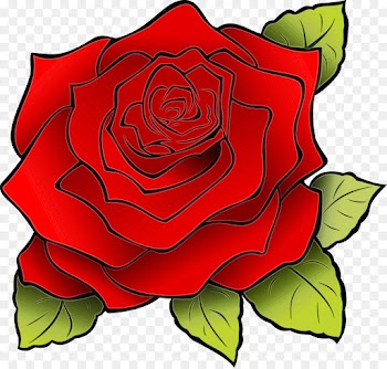 Garden roses