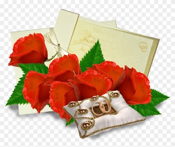 سكرابز لقسم مكملات الموضه - Garden Roses