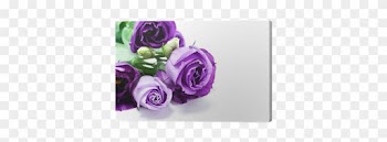 Garden Roses