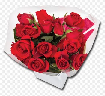 Garden Roses