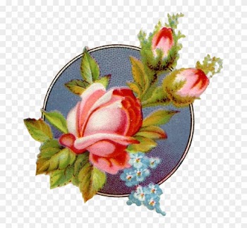 Garden Roses