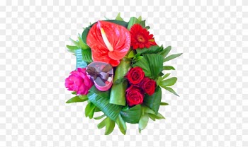 Garden Roses