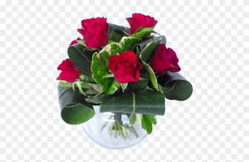 Garden Roses