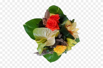 Garden Roses