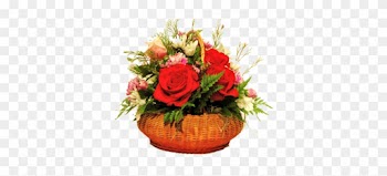 Garden Roses