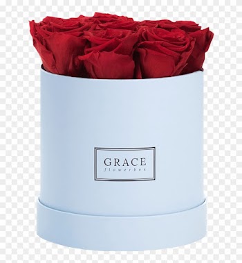 Garden Roses
