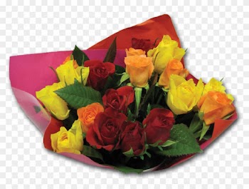 Garden Roses