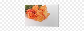 Garden Roses