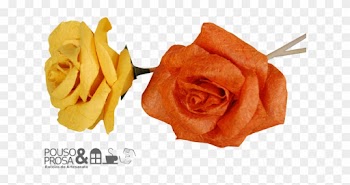 Garden Roses