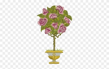 Garden Roses