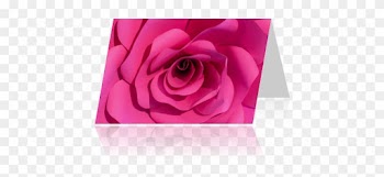 Garden Roses