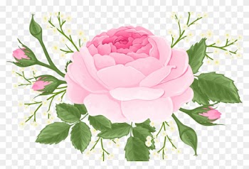 Garden Roses