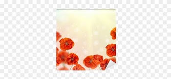 Garden Roses