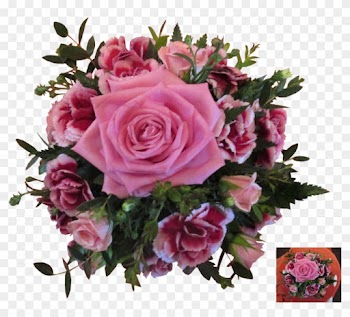 Garden Roses