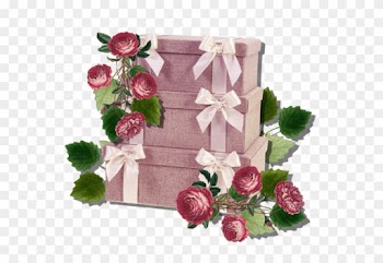 Garden Roses