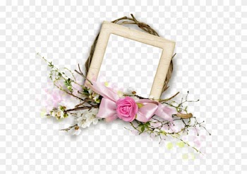 Garden Roses