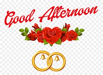 Garden Roses, Afternoon, Rose, Text, Cut Flowers PNG