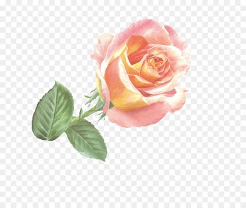 Garden roses Artificial flower Paper - flower 