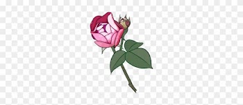 Garden Roses Beach Rose Cartoon Flower - Cartoon Rose Png