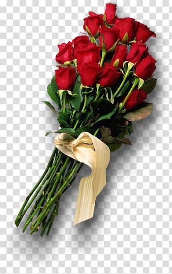 Garden roses Beach rose Flower bouquet Petal, A bouquet of flowers transparent background PNG clipart