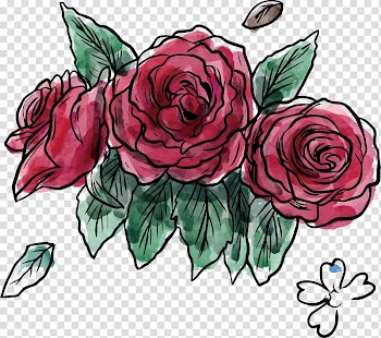 Garden roses Beach rose Flower Centifolia roses, Watercolor lovely National Day Flower transparent background PNG clipart