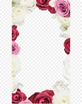 Garden roses Beach rose Flower Picture frame - Rose Border Frame 