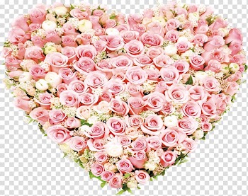 Garden roses Beach rose Heart Flower, Rose heart-shaped flowers transparent background PNG clipart