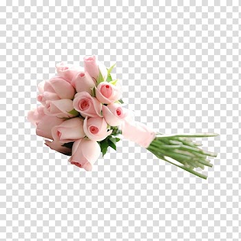 Garden roses Beach rose Pink Flower Nosegay, Pink roses transparent background PNG clipart