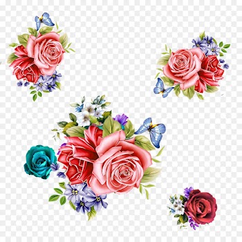 Garden roses Beach rose Pink Flower - Red roses float 