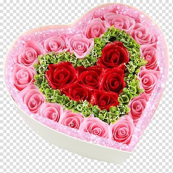Garden roses Beach rose Pink Gift, Pink Rose Gift Box transparent background PNG clipart