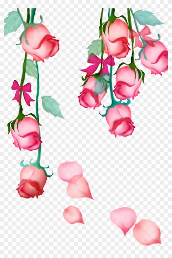 Garden Roses Beach Rose Pink Petal Flower - Rose