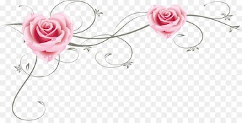 Garden roses Beach rose Pink Vecteur - Pink roses 