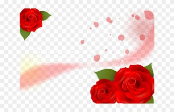 Garden Roses Beach Rose Red - Garden Roses