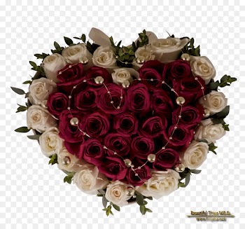 Garden roses Beautiful Time Trading W.L.L. Flower bouquet Cut flowers Gift - gift 