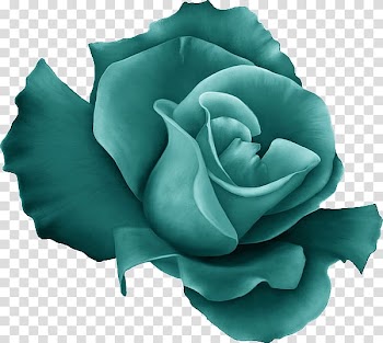 Garden roses Blue rose Cabbage rose Green , flower transparent background PNG clipart