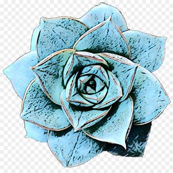 Garden Roses, Blue Rose, Rose, Blue, Turquoise PNG