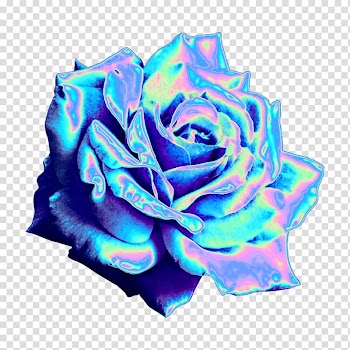 Garden roses Blue rose Sticker PicsArt Studio , space aesthetic transparent background PNG clipart