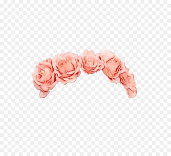 Garden Roses, Body Jewellery, Rose, Pink PNG