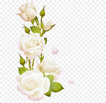 Garden roses Borders and Frames Picture Frames Clip art - flores blancas 