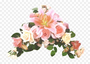 Garden Roses, Cabbage Rose, Floral Design, Flower, Pink PNG