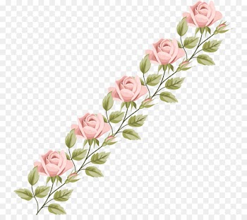 Garden Roses, Cabbage Rose, Floral Design, Rose, Flower PNG