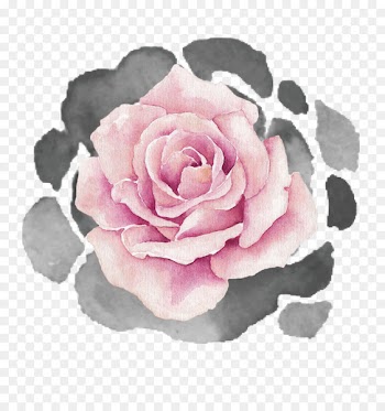 Garden roses Cabbage rose Floribunda Petal - abuelito filigree 