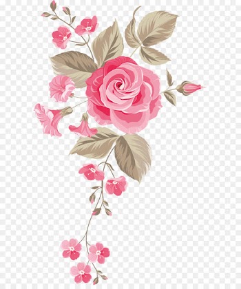 Garden roses Centifolia roses Floral design Cut flowers Flower bouquet - Hand-painted flowers background 