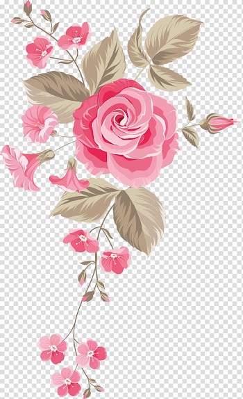 Garden roses Centifolia roses Floral design Cut flowers Flower bouquet, Hand-painted flowers background, pink rose transparent background PNG clipart