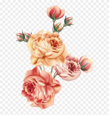 Garden Roses Centifolia Roses Napkin Victorian Era - Beautiful Victorian Roses Throw Blanket