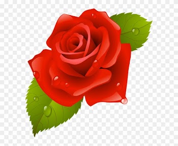 Garden Roses China Rose Beach Rose Flower Clip Art - Rose Frame