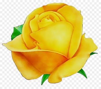 Garden roses Clip art Image Portable Network Graphics Yellow -  