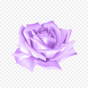 Garden roses Clip art Portable Network Graphics Flower - rose 