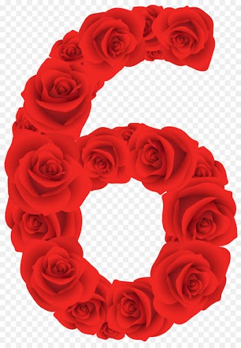 Garden roses Clip art - red rose decorative 