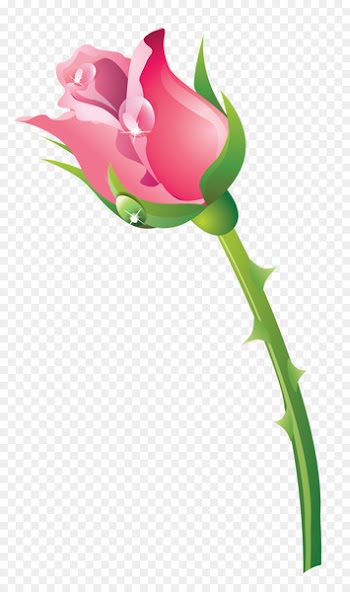 Garden roses Cut flowers Bud Tulip Plant stem - flora flyer 